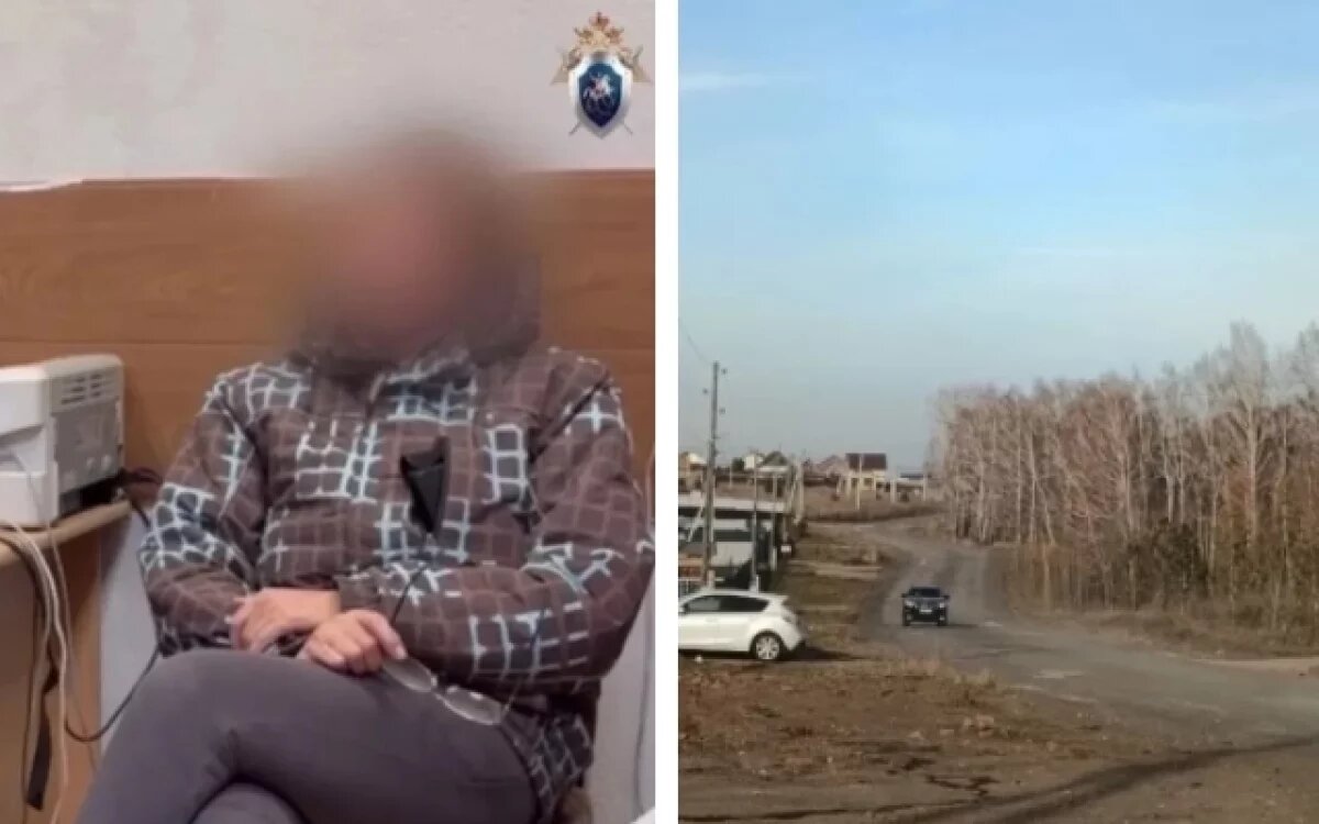    Председателя компании-подрядчика по отлову собак задержали после того, как бездомные псы растерзали ребенка в СНТ «Теремок».