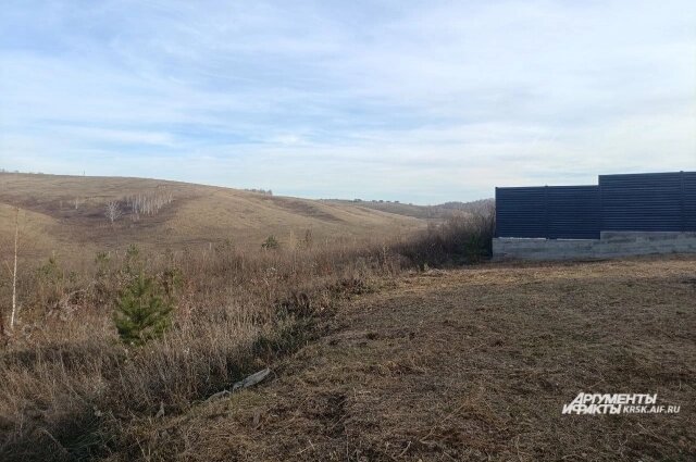    Пустырь, где собаки напали на ребенка. Фото: krsk.aif.ru/ Татьяна Бахтигозина