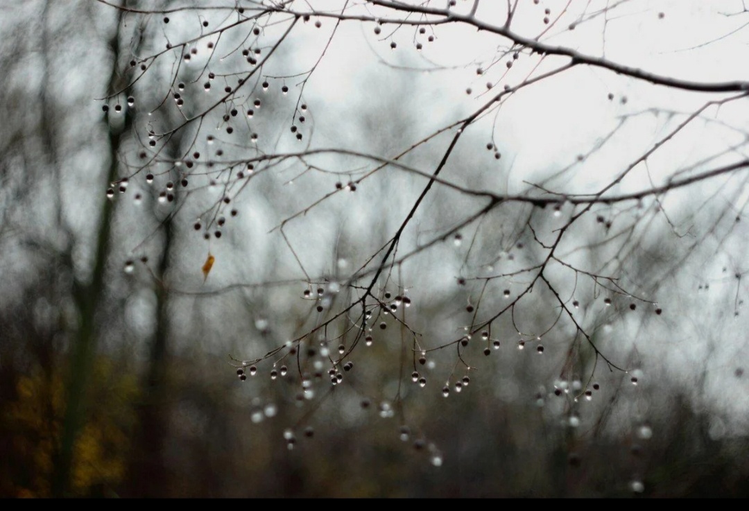 Фото из интернета. Автор не пожелала, в такую погоду, делать реальное фото 