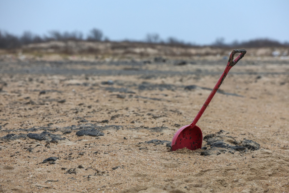    Алексей Белкин/NEWS.ru