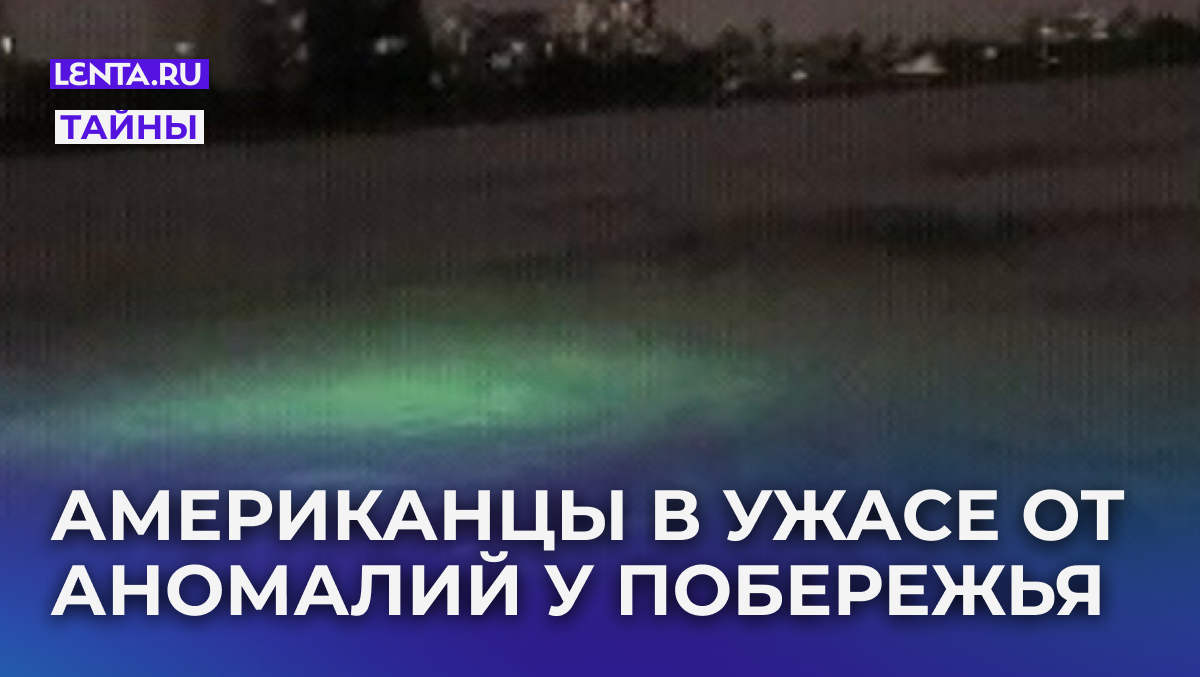 Неопознанные подводные объекты. Лодердейл, Флорида. Фото: Engima / marinetechnologynews.com

