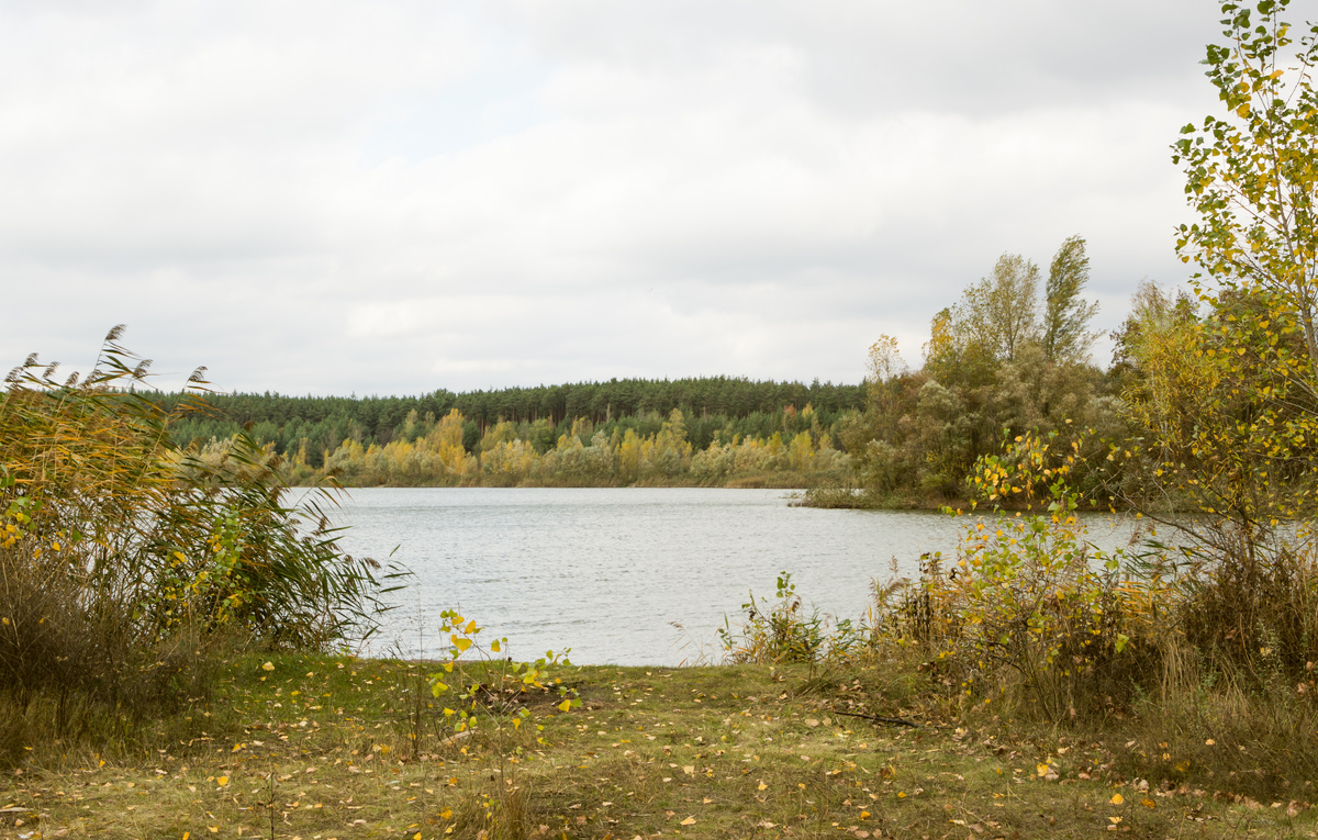 irisff/Shutterstock/FOTODOM, архив