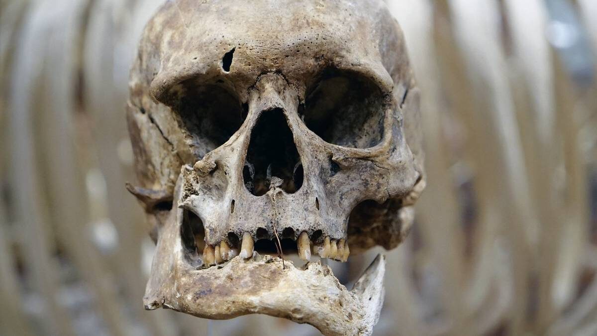    Фото: Shutterstock