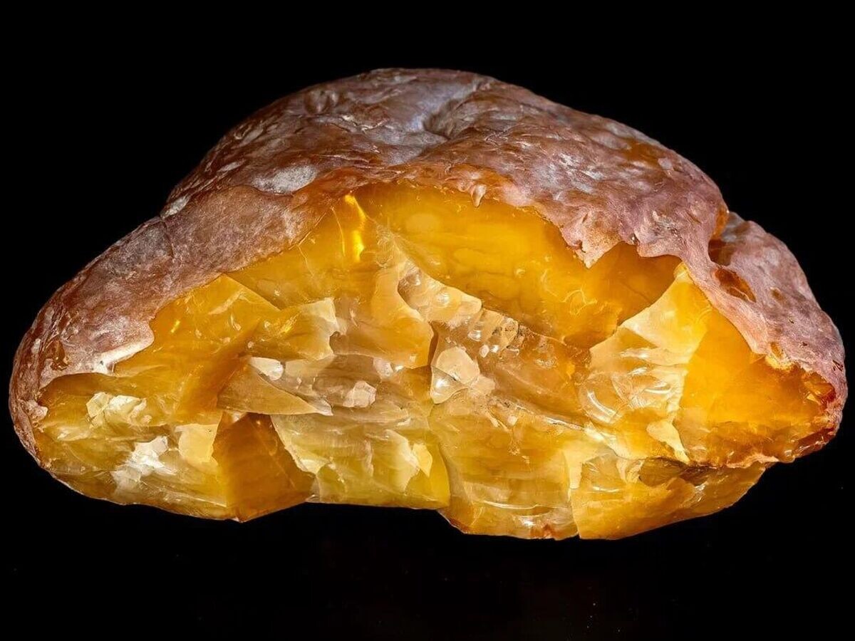    Самый крупный за 4 года самородок янтаря в Калининграде© Фото : Калининградский янтарный комбинат