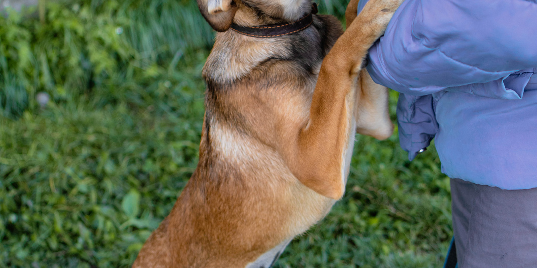 Её жизнь началась в заклеенной скотчем коробке...