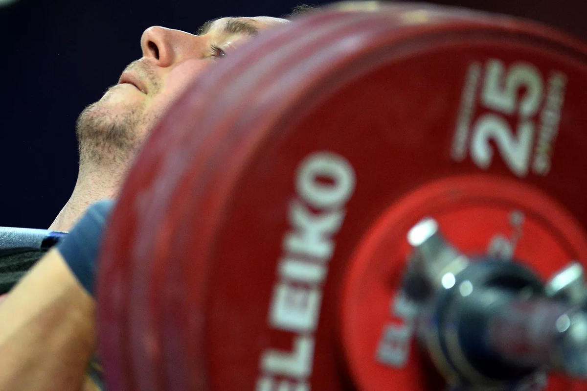 © Sputnik / Максим Богодвид 