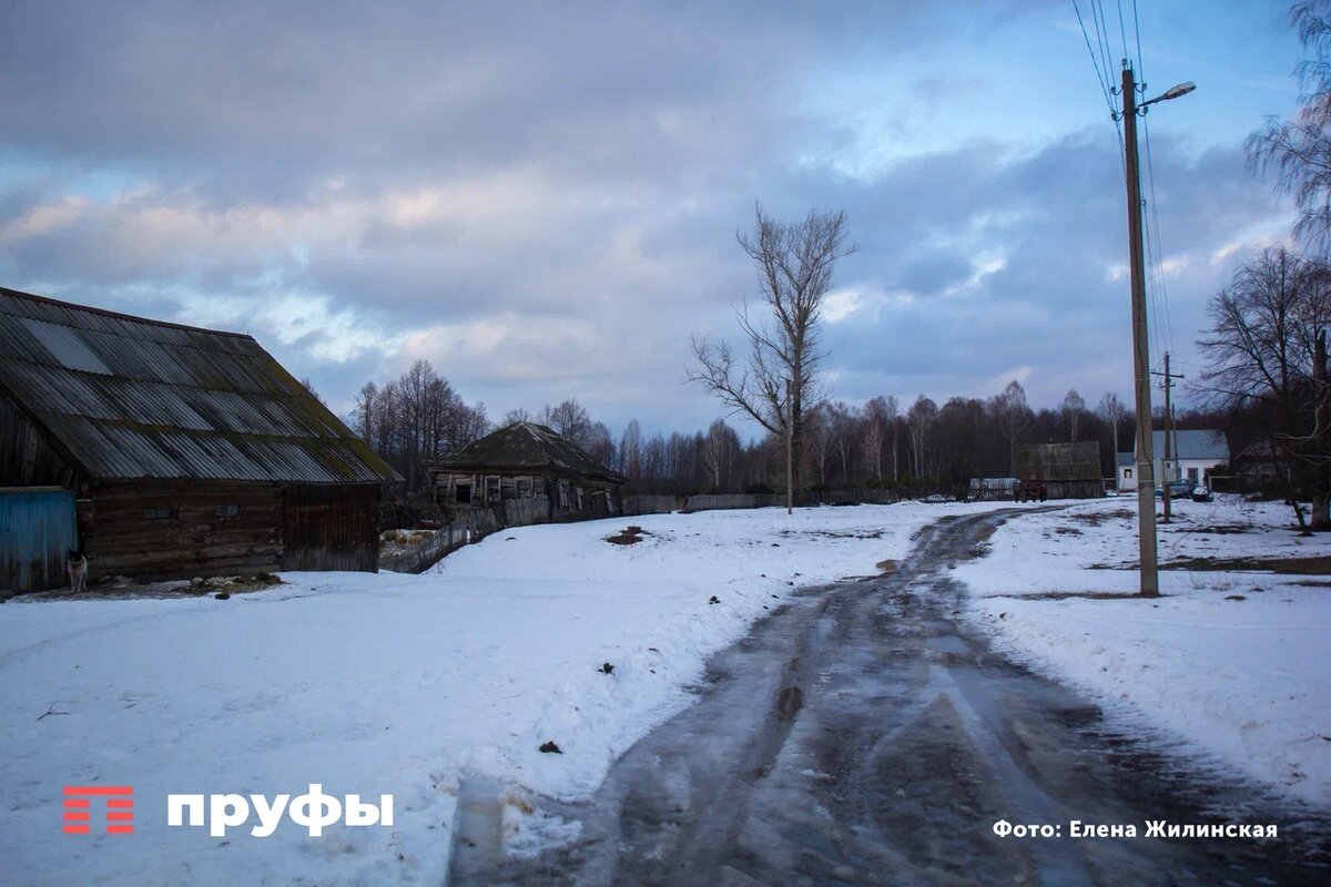    Фото: Пруфы