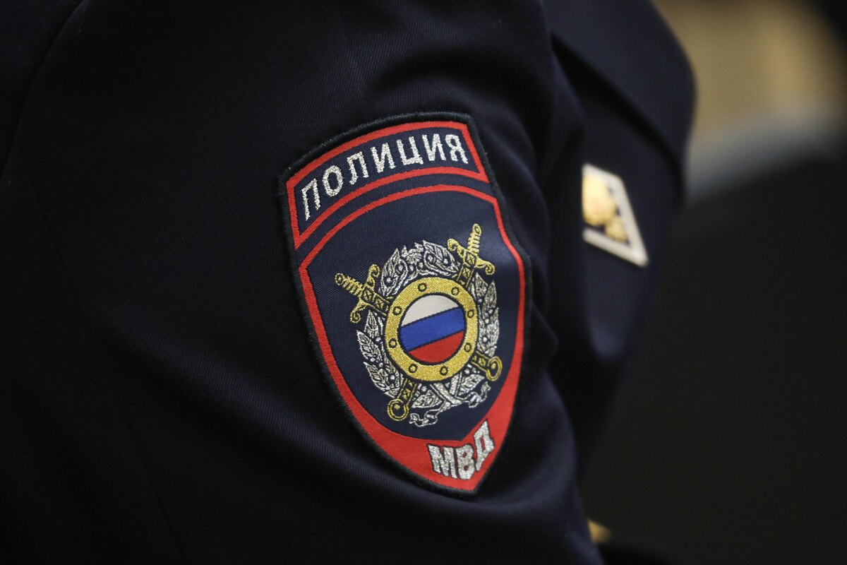 Фото: Александр Глуз / «Петербургский дневник»