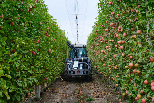    admkrai.krasnodar.ru