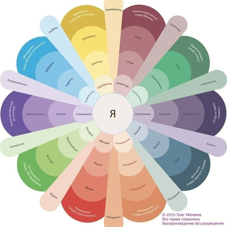 "Эмоциональный компас" Олега Матвеева.