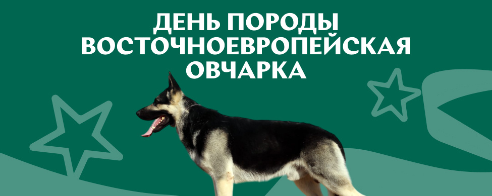 Конференция День породы Восточноевропейская овчарка