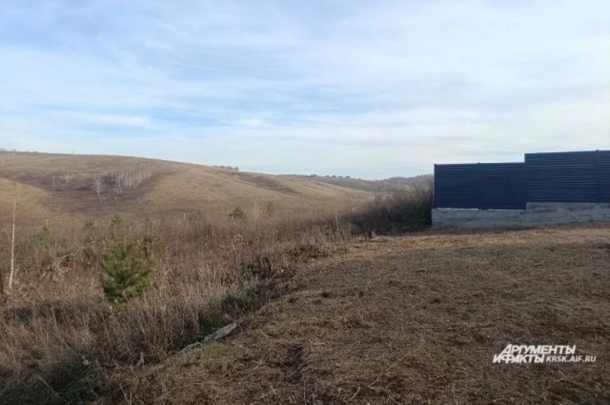    Вид с поселка на пустырь, где погиб ребенок.