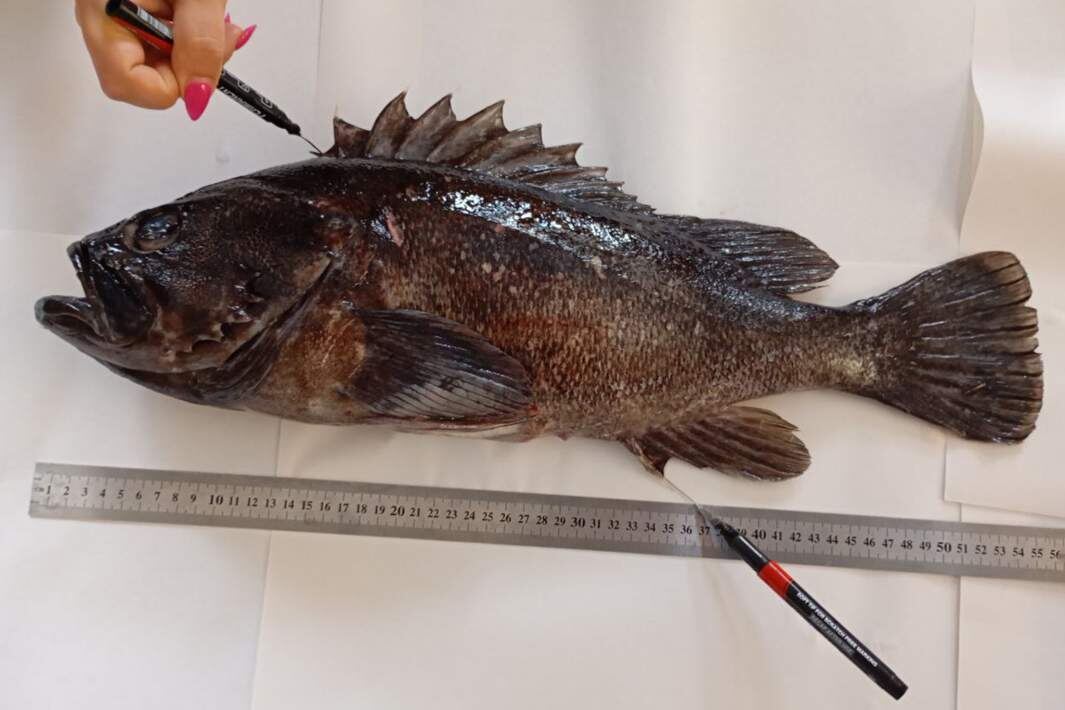 Фото: Игорь Тамойкин, Известия