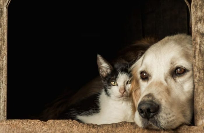 Фото freepik.com.