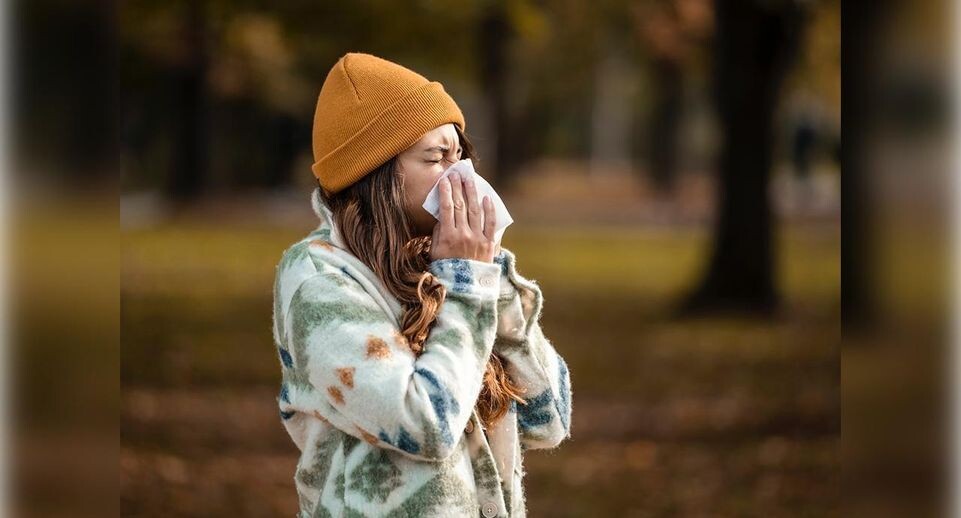    Фото: istockphoto.com/Martinns