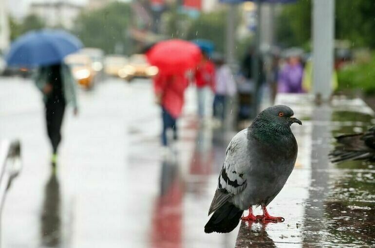   Ярослав Чингаев /АГН «Москва»