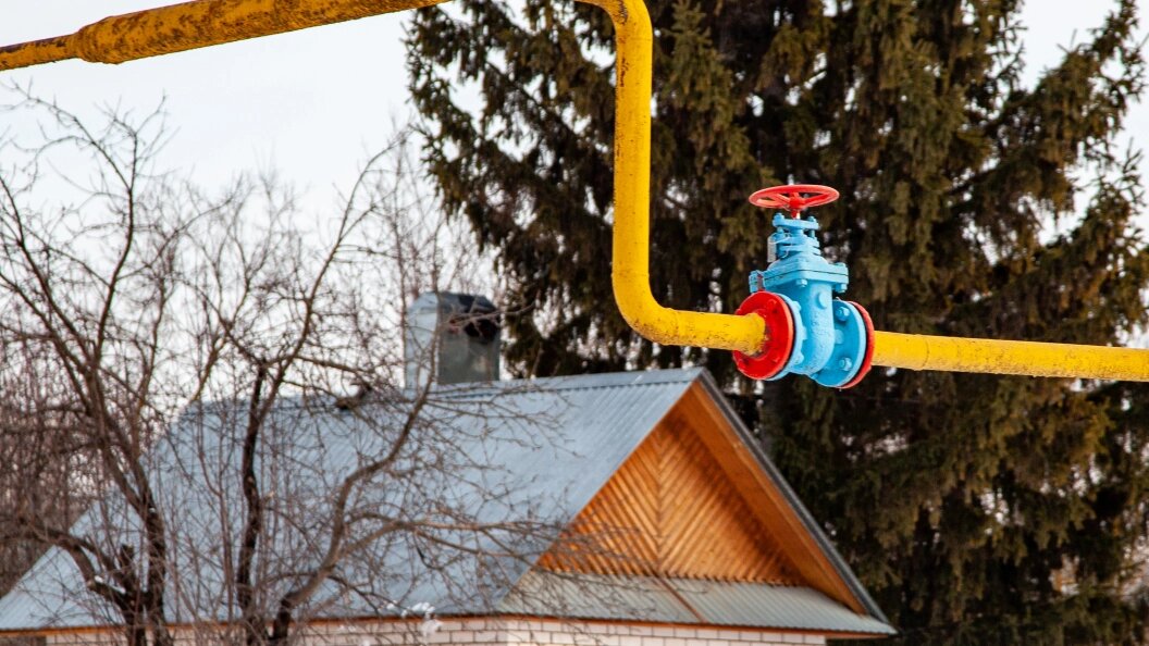    Фото: Oksana Korol/Business Online/Globallookpress