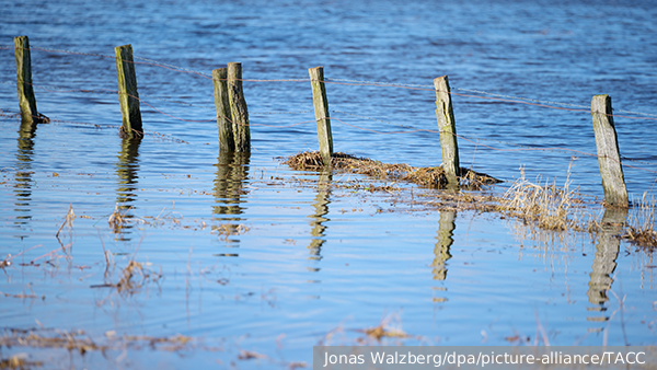     Фото: Jonas Walzberg/dpa/picture-alliance/ТАСС   
 Текст: Елизавета Шишкова