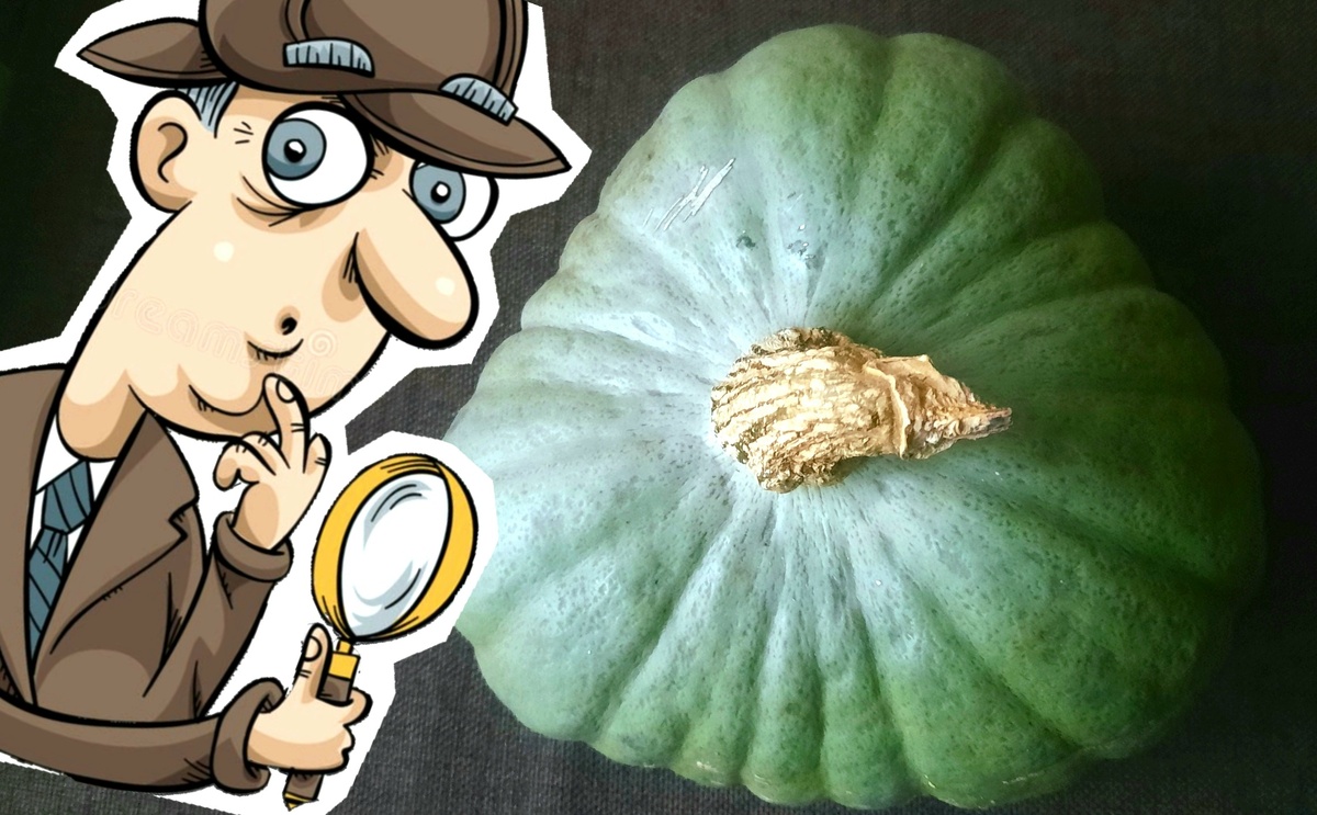 Коллаж автора.