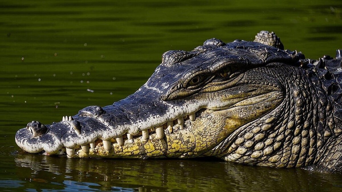    Изображение создано с помощью ИИ