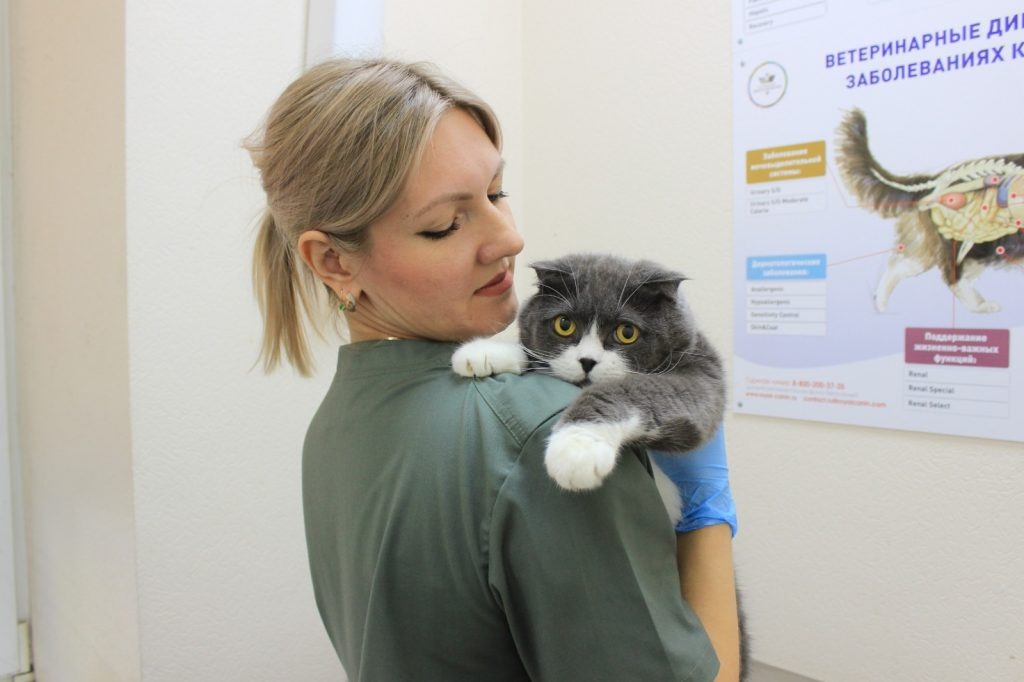    фото: donland.ru Денис Забнин