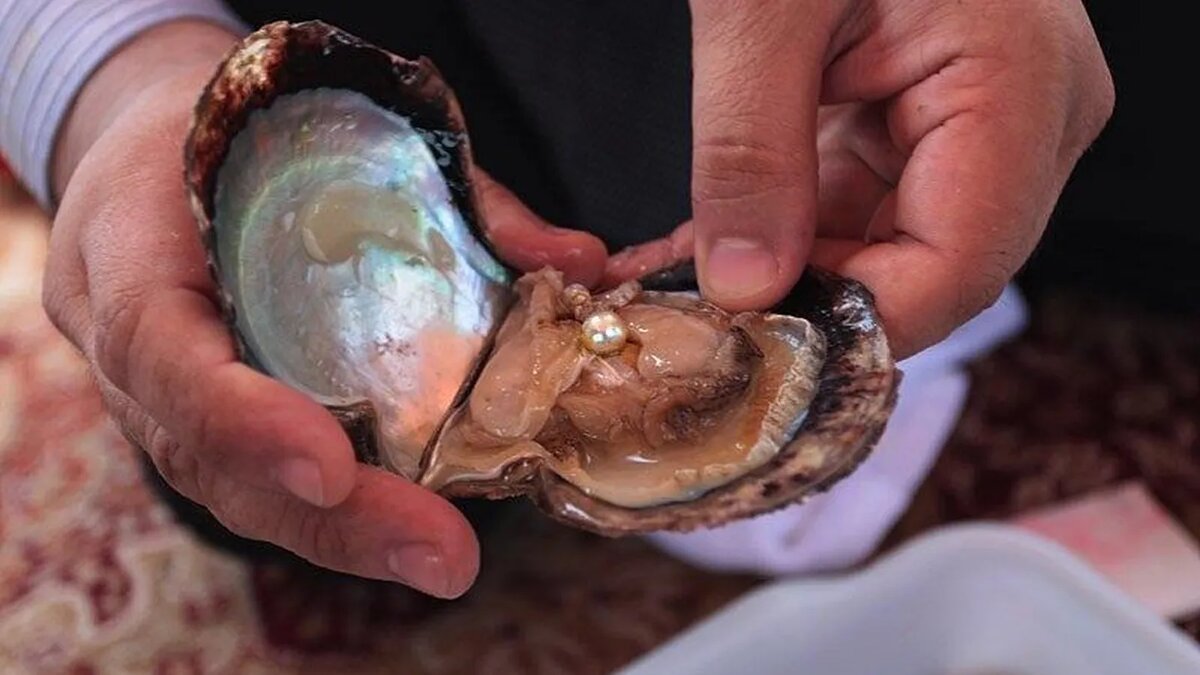 Фотография из интернета