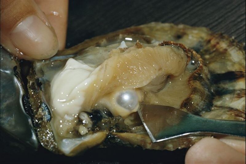 Фотография из интернета