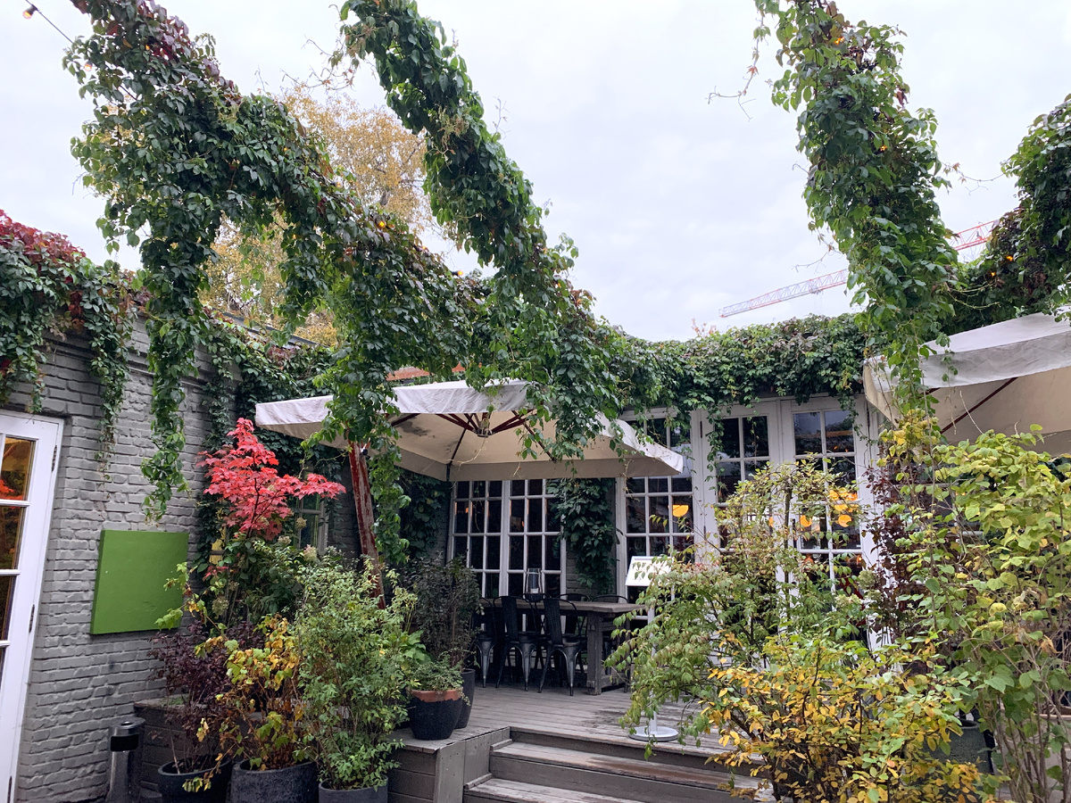 Зеленая веранда