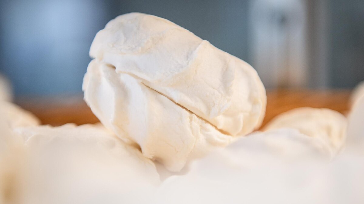 Фото: Ilya Moskovets/globallookpress.com