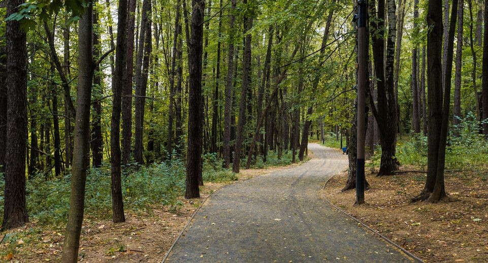    Медиасток.рф