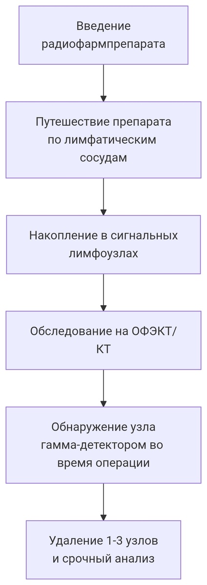 Пояснение в тексте