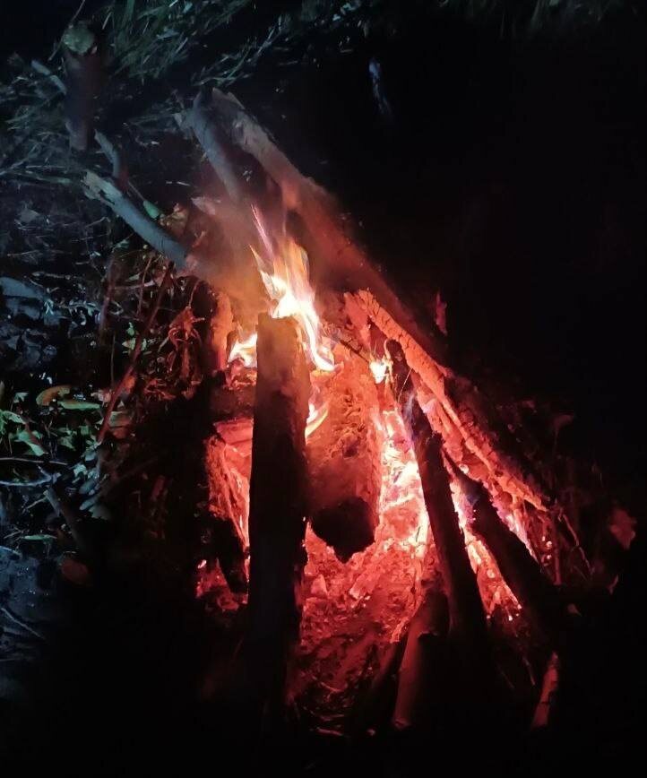 Куда вложить свои деньги, чтобы не сгорели, как эти ветки😉