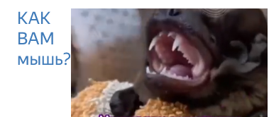 из ролика канала "Радио 1"