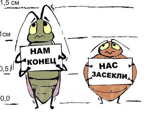 Фото из открытых источников интернета 