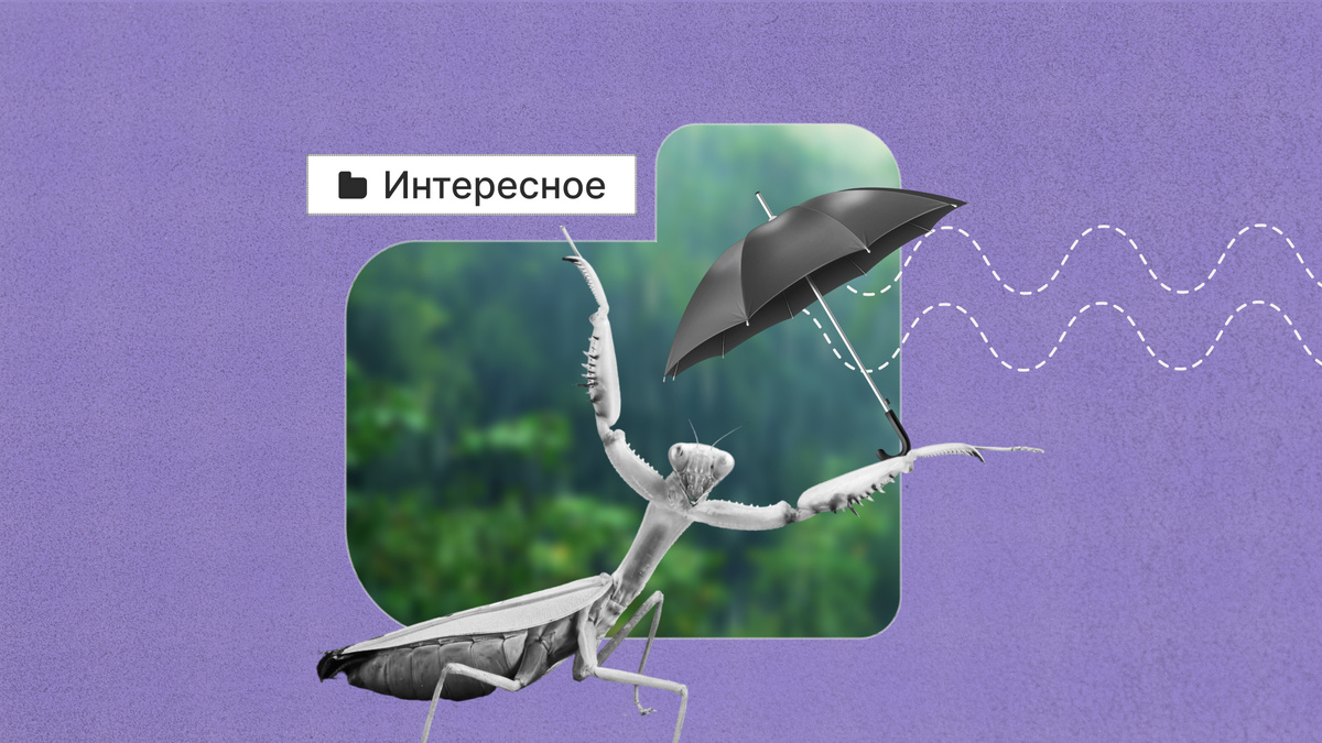 Можно ли опираться на приметы в вопросах погоды?