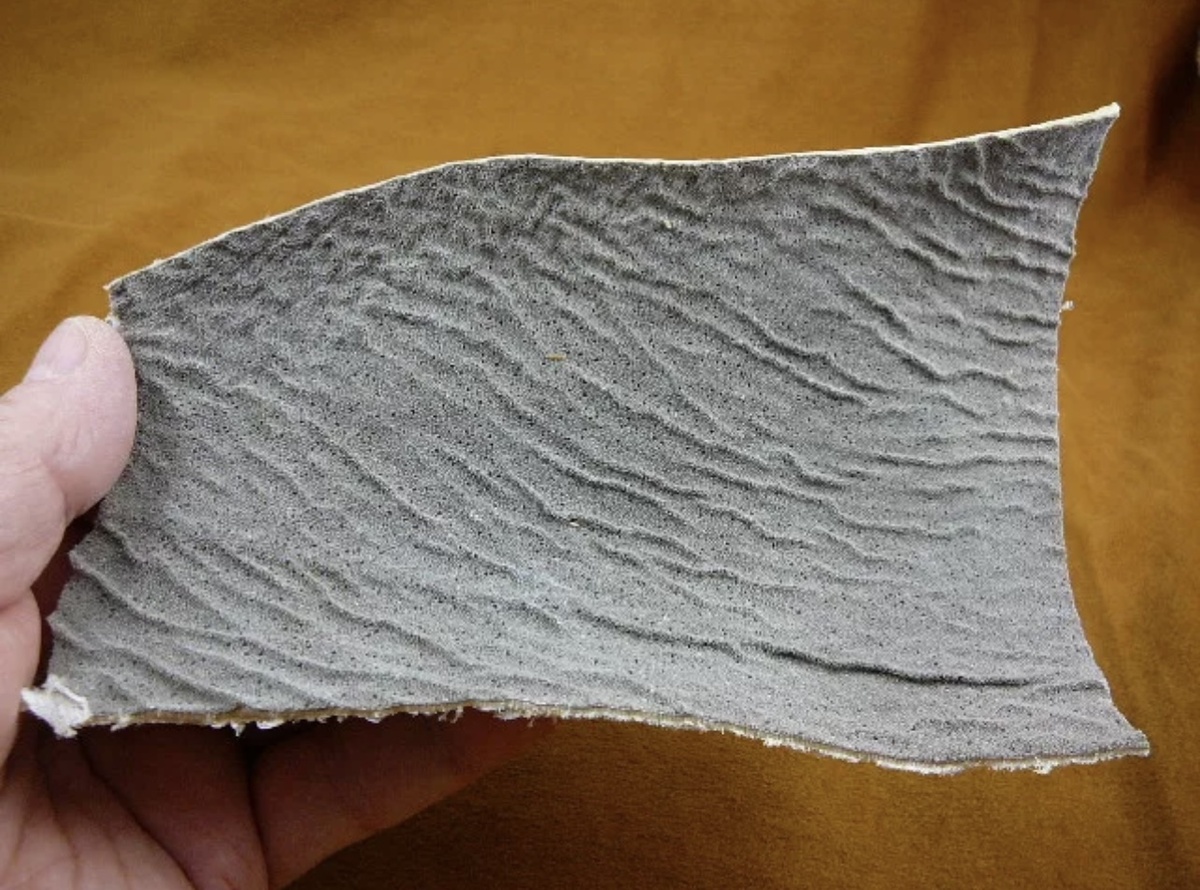 Шкурка акулы 