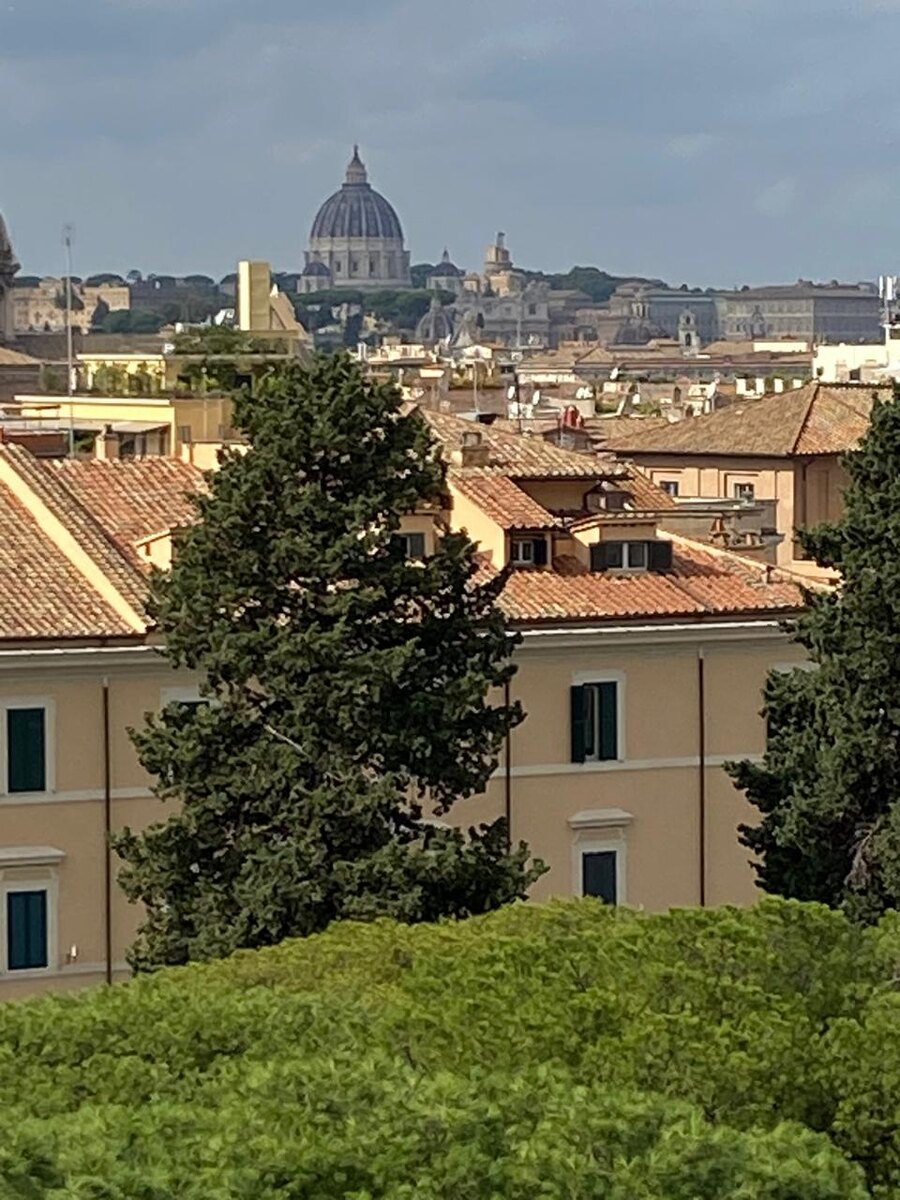 Вид на город со смотровой площадки на площади Венеции.