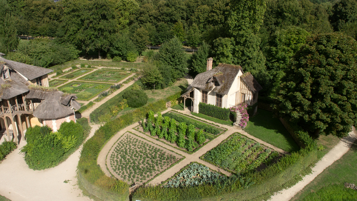 Сады в кино: фильм «Мария-Антуанетта»