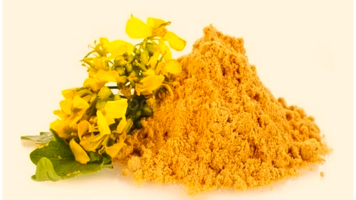 Горчичный жмых