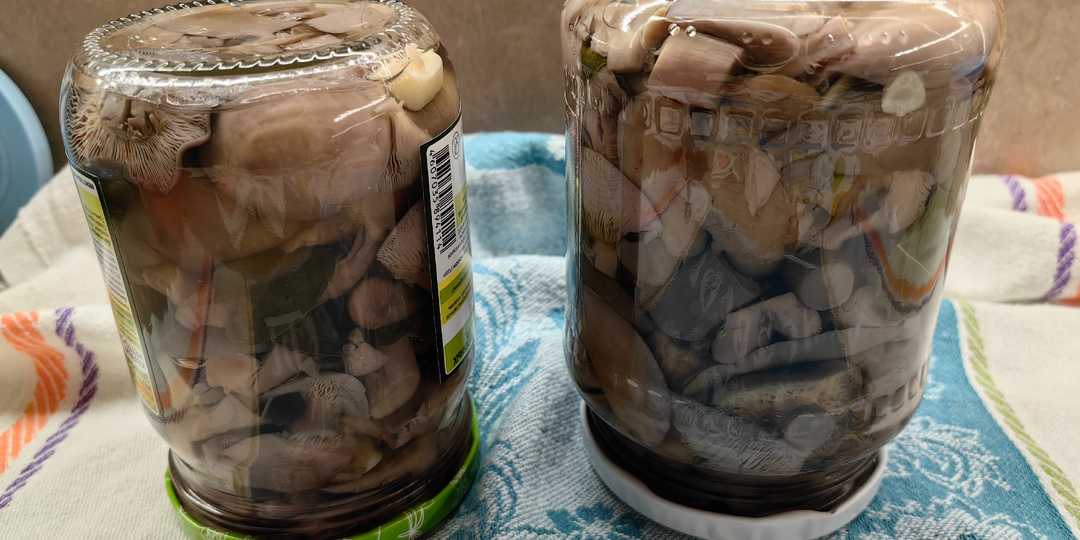 Как мариновать фиолетовую рядовку. Самый вкусный и просто маринад для грибов.