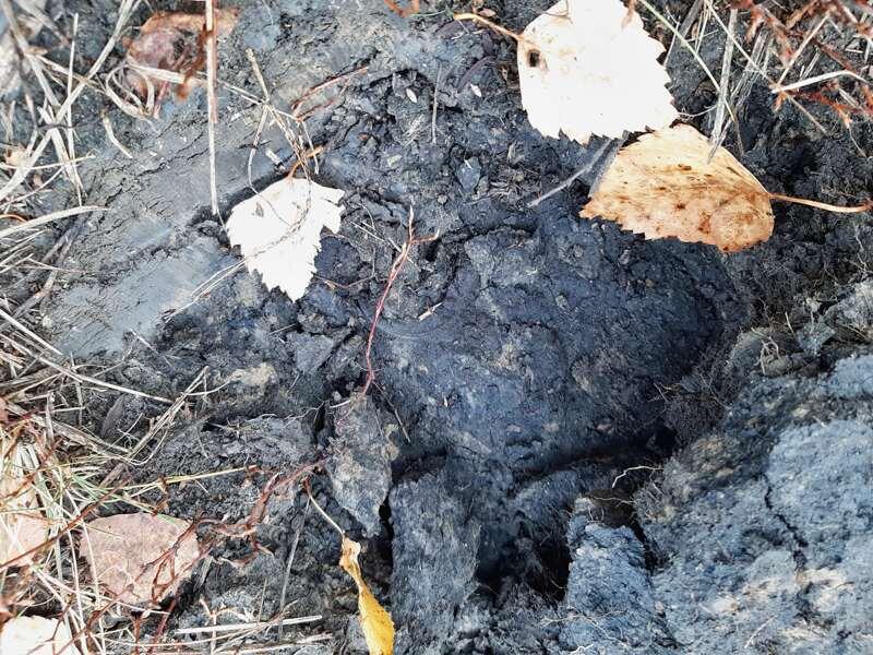 На фото плохо видно, но в левом верхнем углу виден кусочек асфальта