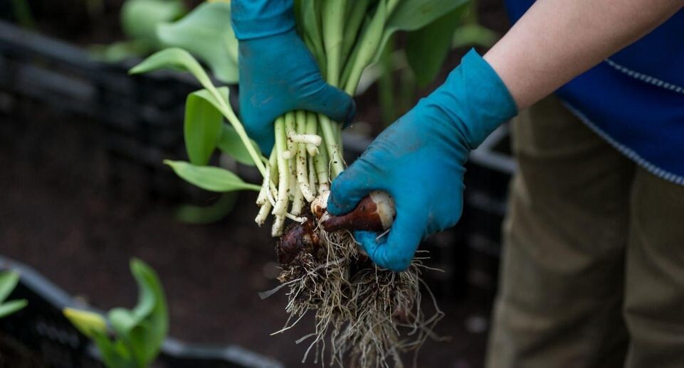    Министерство по содержанию территорий и государственному жилищному надзору МО
