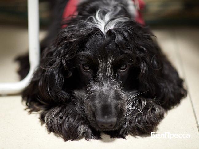 Фото: Елена Журавлёва