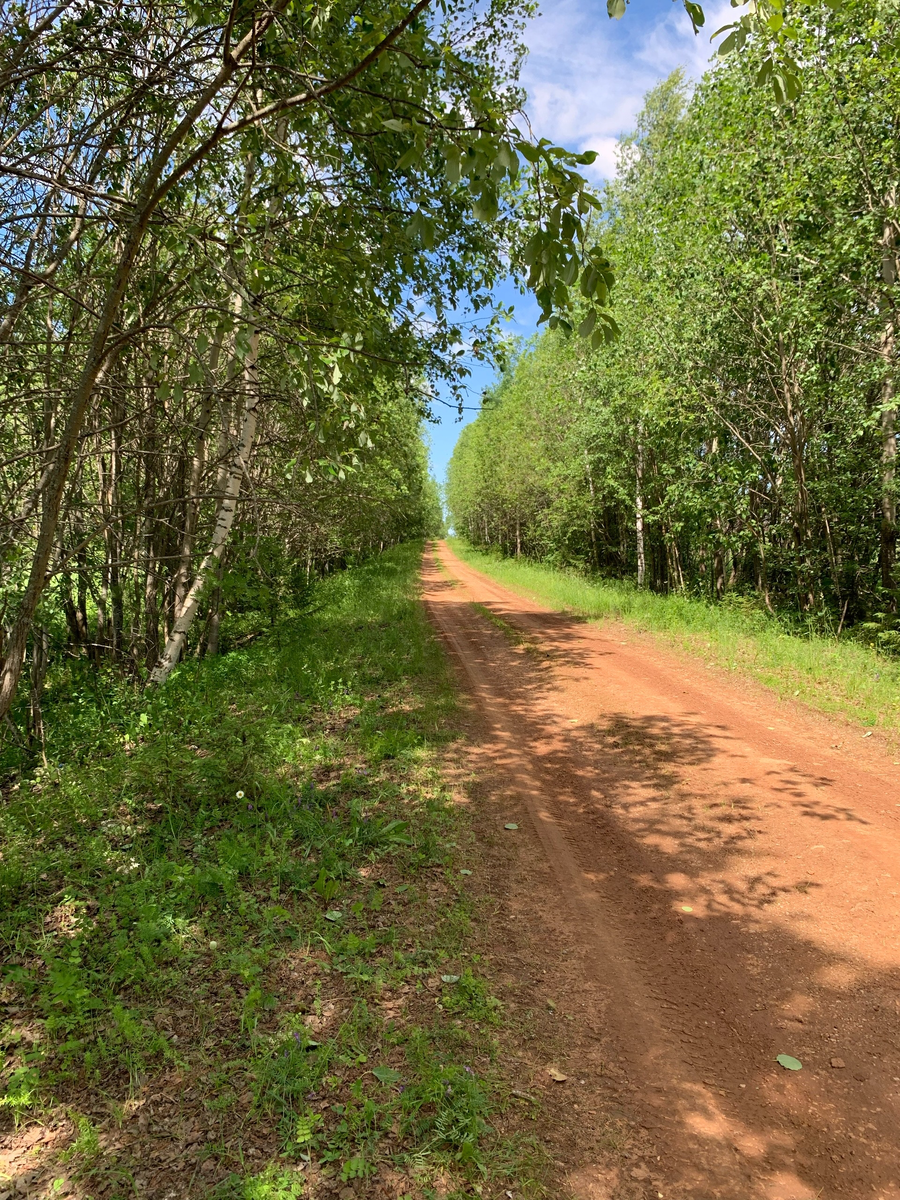Обожаю нашу природу