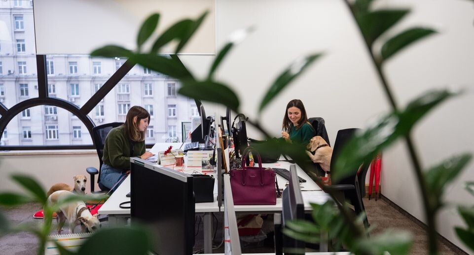    Медиасток.рф