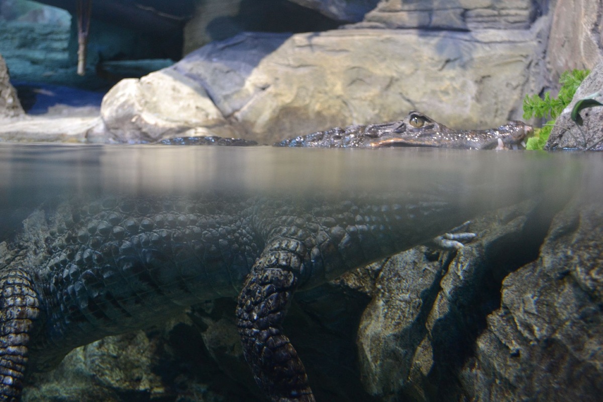    Фото: Медиасток.рф