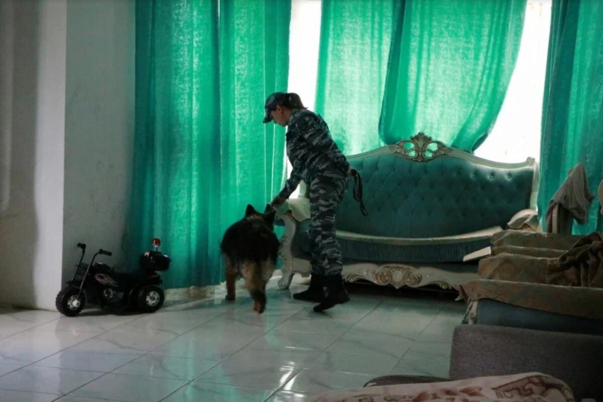 Листайте вправо, чтобы увидеть больше изображений