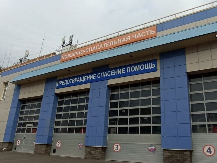     В Калининграде стартовал региональный этап соревнований «Школа безопасности». Фото:архив МК в Калининграде.