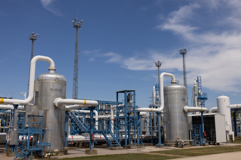    Attila Volgyi/XinHua/Global Look Press