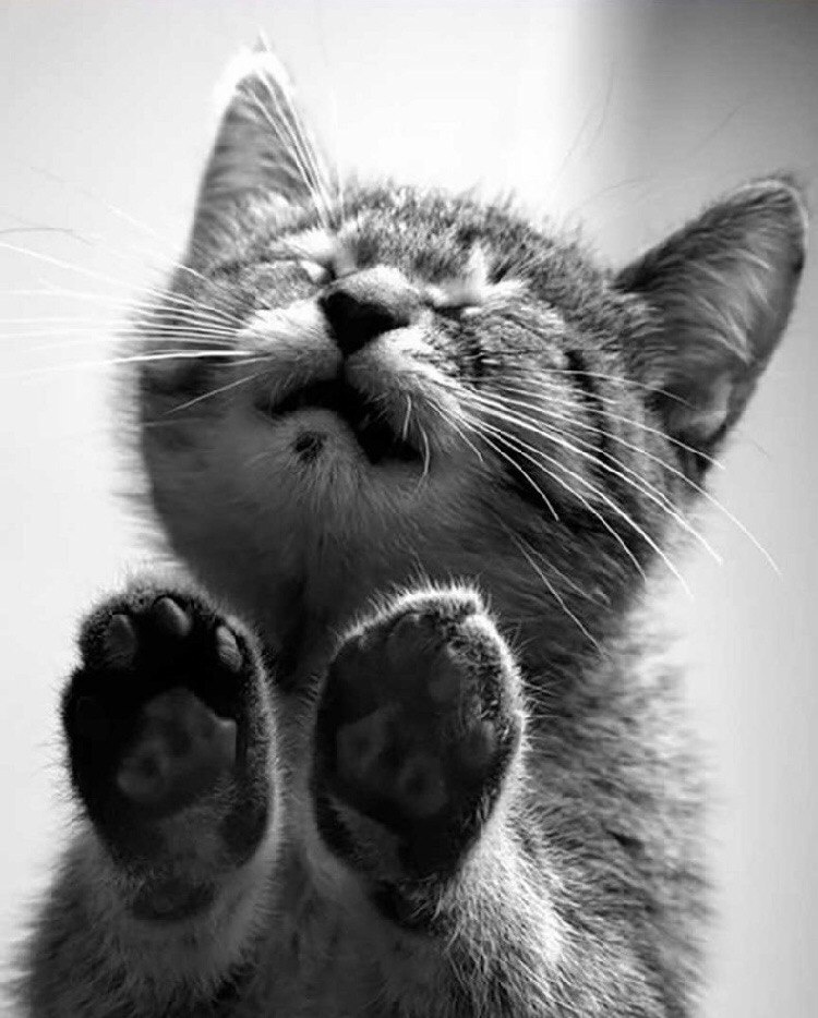 фото из интернета